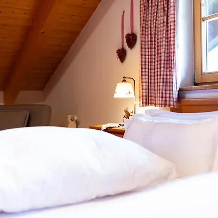 Appartement Haus Alpenstern Gipfelglueck *